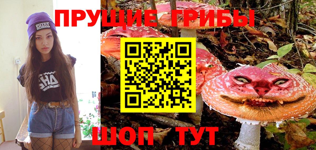 Псилоцибиновые грибы ЛСД Прохладный