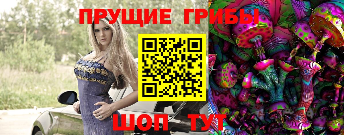 Галлюциногенные грибы Psilocybine cubensis  Галлюциногенные грибы Psilocybine cubensis  Вход с VPN  Прохладный 
